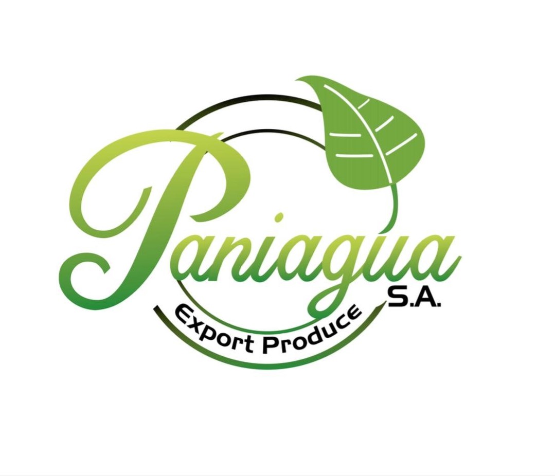 Logo Paniagua SA